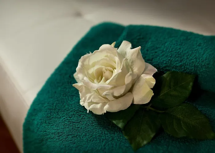 Gio'el Happiness بيرغامو